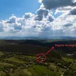 Baglyas *