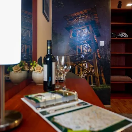 Baglyas Vendeghaz Βίλα *