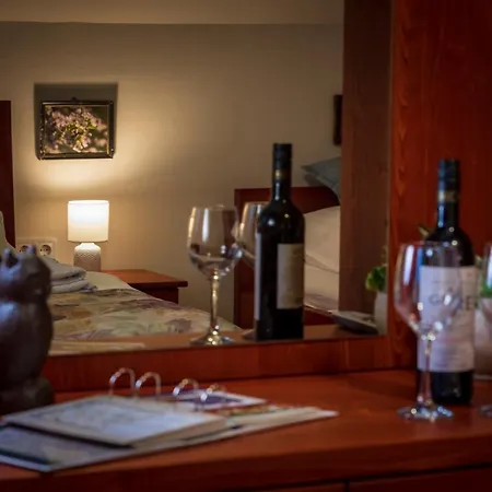 Βίλα Baglyas Vendeghaz *