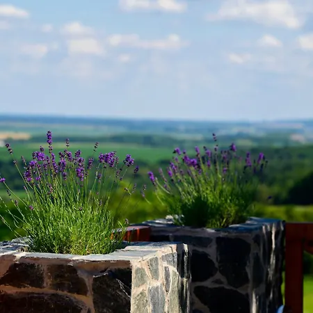 Baglyas Vendeghaz Villa Edelény