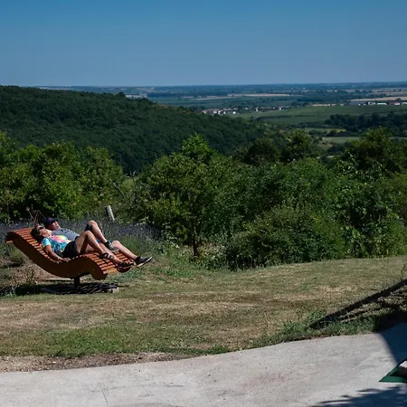 Baglyas Vendeghaz Βίλα