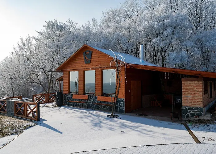 וילה Baglyas Vendeghaz Edelény