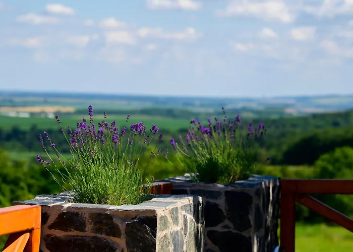 Baglyas Vendeghaz 빌라 Edelény