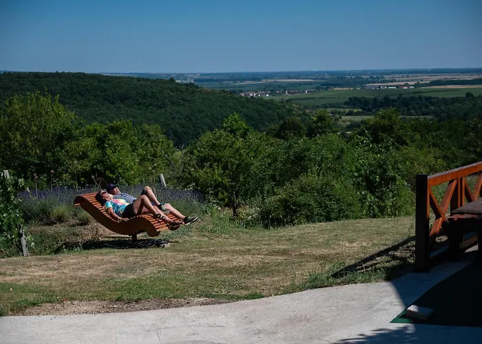 Baglyas Vendeghaz וילה